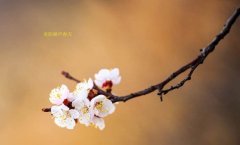 在這春暖花開的季節(jié)，歡迎你們加入知道網(wǎng)絡(luò)