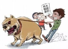 青島10月份一大波勁爆消息，你知道嗎？