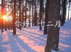 抓住2016年的尾巴給自己充充電！12月，加油！