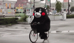 青島也有“共享單車”啦！說騎就騎的旅程GO