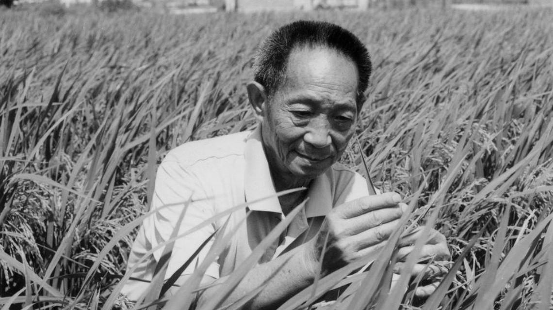 沉痛哀悼！袁隆平院士逝世